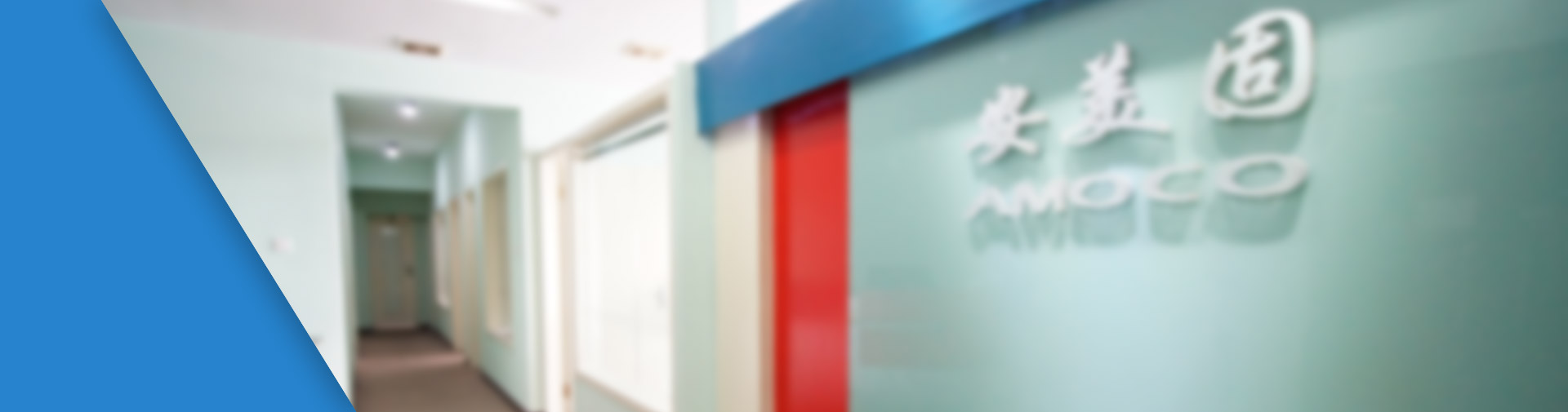 雙膜氣柜 儲(chǔ)氣柜 沼氣氣柜 - 成都安美固建筑工程科技有限公司